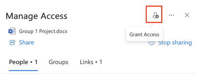 Click "Grant access" to give group members access to the file.