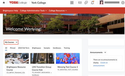 York homepage on Brightspace